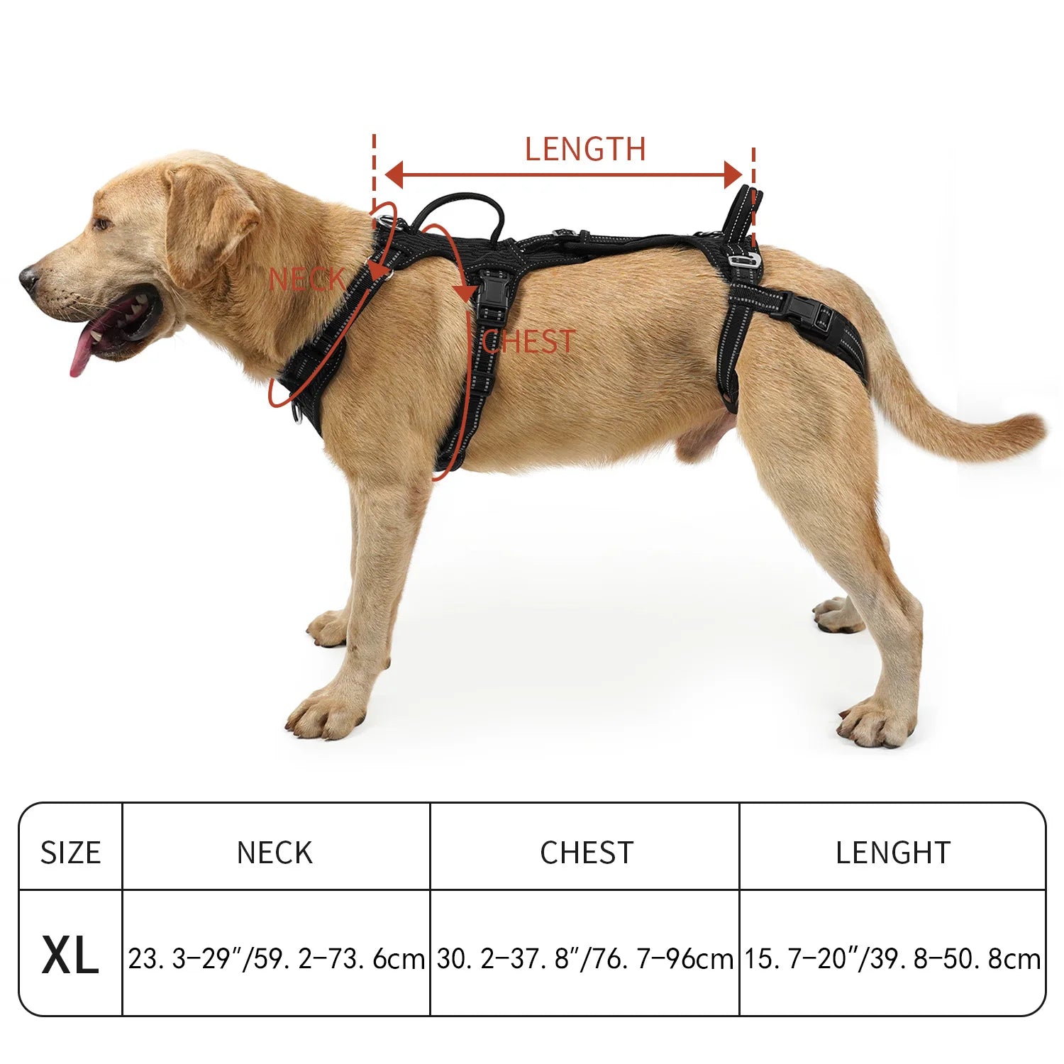 Beauhound Mobility Lift Harness fit and sizing reference