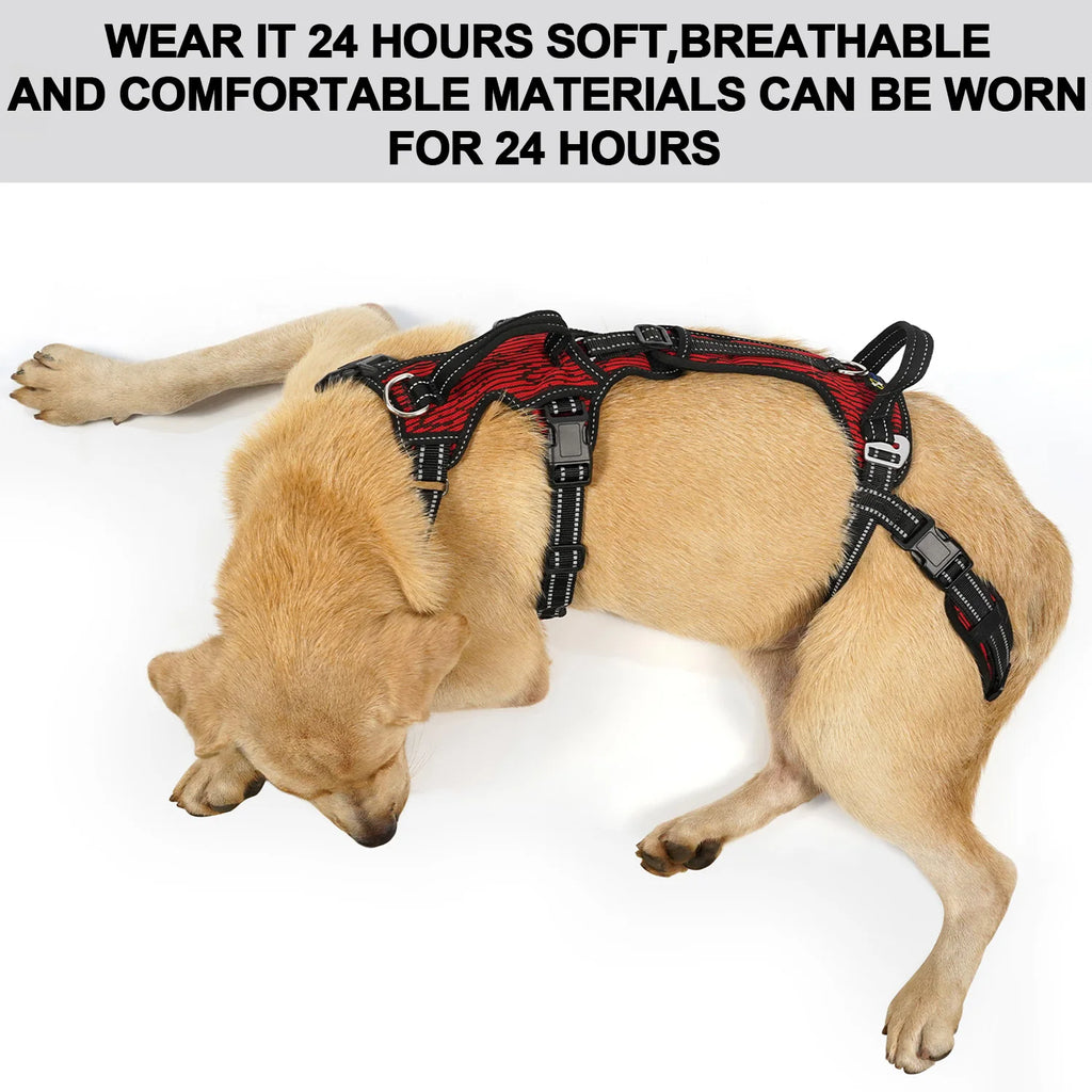 Padded top handle detail on the Beauhound Mobility Lift Harness
