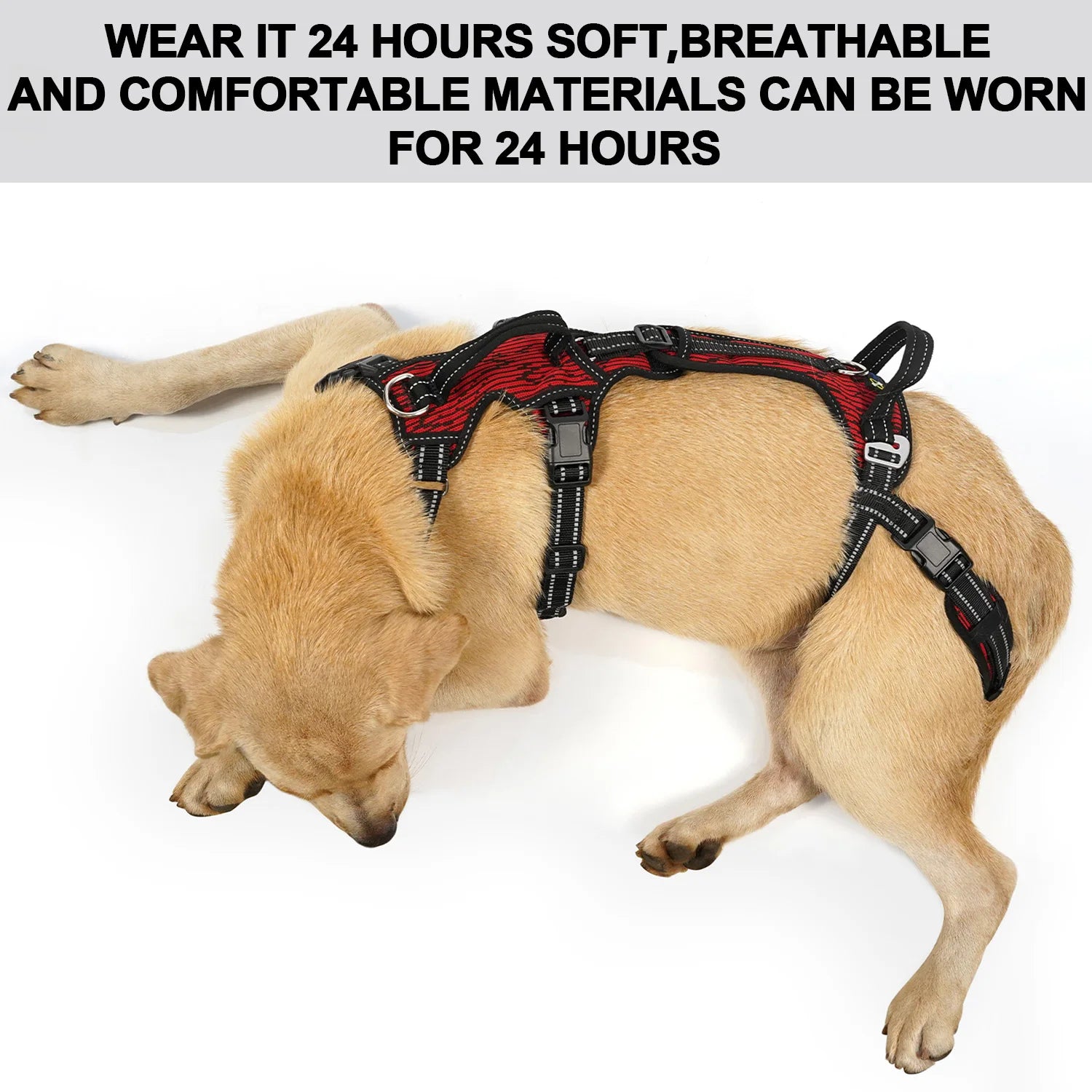 Padded top handle detail on the Beauhound Mobility Lift Harness