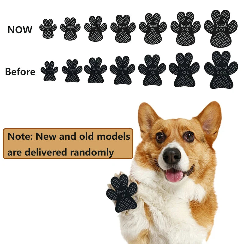 Beauhound Anti-Slip Paw Grips on a dog walking indoors