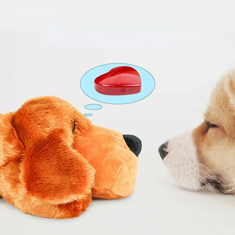 Beauhound Heartbeat Calming Toy for crate training