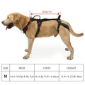 Beauhound Mobility Lift Harness on a senior dog, side view