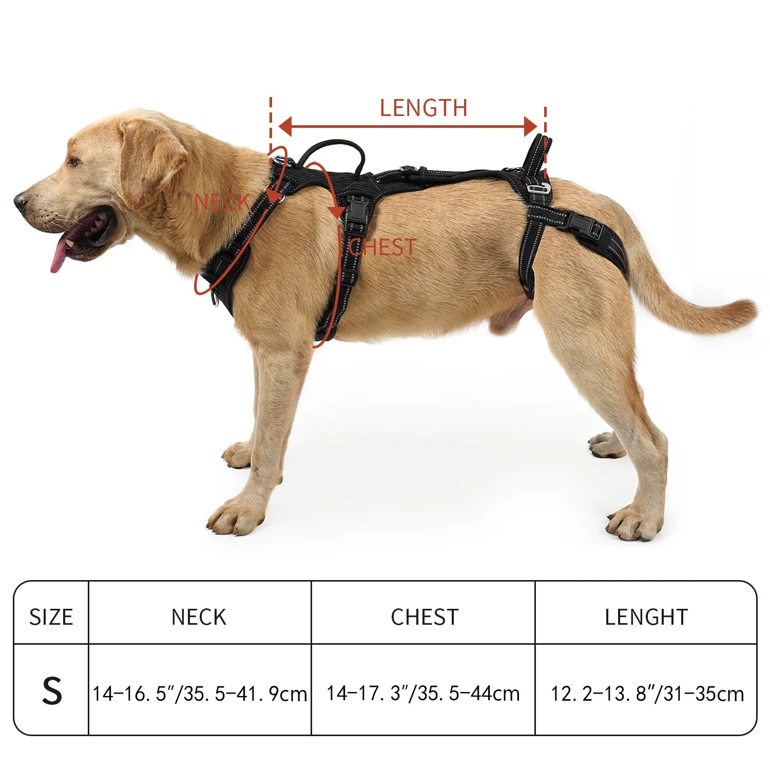 Beauhound Mobility Lift Harness worn by a large breed dog