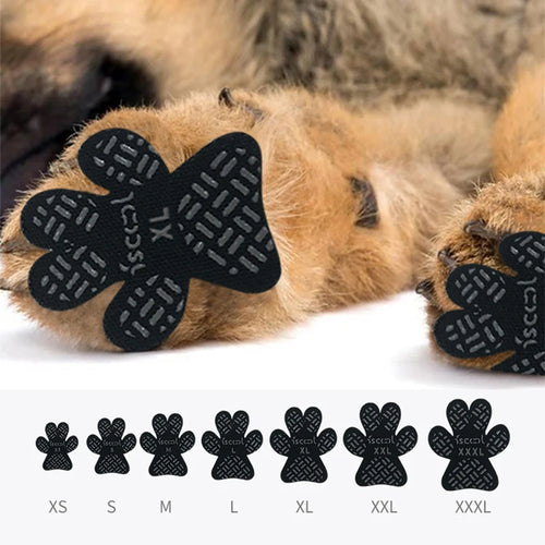Beauhound Anti-Slip Paw Grips applied to a dog's paw
