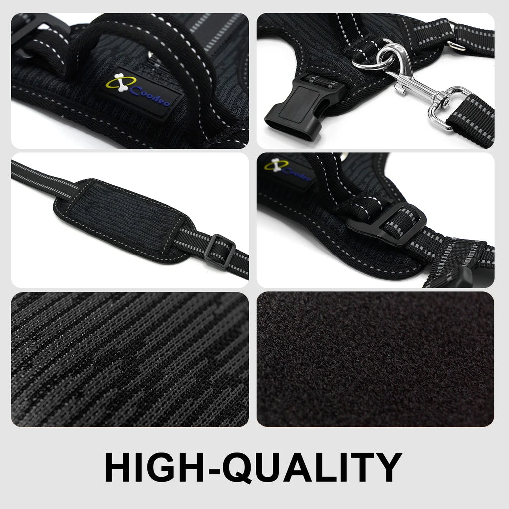 Beauhound Mobility Lift Harness helping a dog climb stairs
